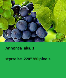 ann3